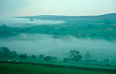 Early morning mist over farmland