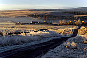 Tarset Valleyt,Northumberland,UK