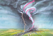 Tornado dynamics