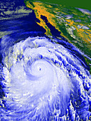 Coloured satellite image of Hurricane Linda