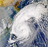 Typhoon Tokage