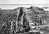 Flood defences,Mississippi River,1912