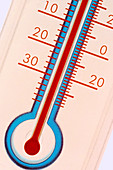 Thermometer