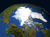 Arctic sea ice,2003