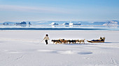 Dog sled,Qaanaaq,Greenland