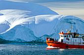 Arctic tourists