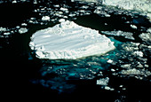 Broken pack ice in the Weddell Sea