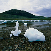 Eroded icebergs in a fjord