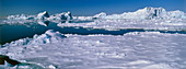 Icebergs,Greenland
