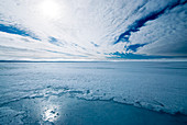 Melting Arctic sea ice
