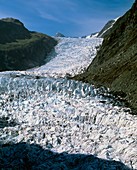 Fox Glacier,New Zealand