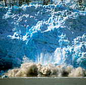 Childs glacier calving as it reaches the sea