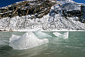 Icebergs from the Roseg glacier