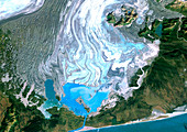 Bering Glacier,satellite image
