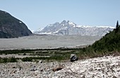Carroll Glacier,Alaska,in 2004