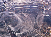 Patterns in sheet ice on river