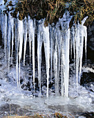 Icicles