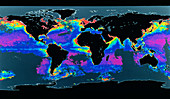 False-col satellite image of world's oceans