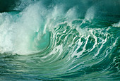 Wind-blown wave breaking in Hawaii