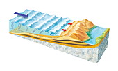 Coastal wave mechanics,artwork