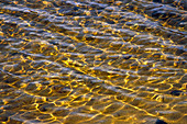 Sand ripples & sunlit water