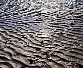Sunlight reflected on wet sand ripples at low tide