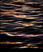 Water ripples