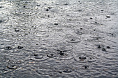 Raindrops on a water surface