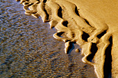 Ripples on sand beach