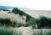 Sand dunes on coastline