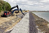 Renewing shore defences,Netherlands