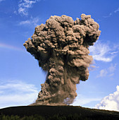 Column of ash rising from Anak Krakatau volcano