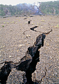 East rift zone of Kilauea volcano