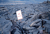 Cooled pahoehoe lava