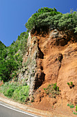 Basalt dyke in volcanic cliff,Tenerife