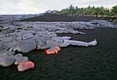 Pahoehoe lava from Kilauea volcano