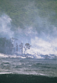 Steam from Kilauea volcano lava flow