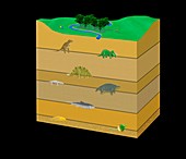 Mass extinction events over time