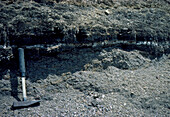 Cretaceous/Tertiary boundary,Raton,New Mexico