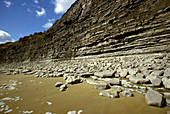 Limestone strata along Lyme Regis coast