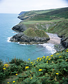 Synclines in rock strata at the coast