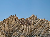 Folded limestone,Crete