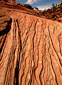 Sedimentary cliff strata,Valley of Fire,Navada