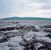 Limestone pavement