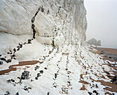 Chalk cliffs