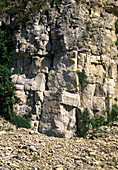 Limestone cliff