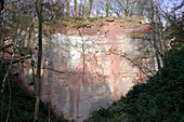 Exposed sandstone at a disused quarry