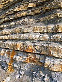 Limestone and shale strata