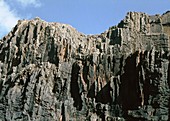 Mudstone and silt-stone cliffs