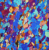 Polarised LM of thin section of gneiss